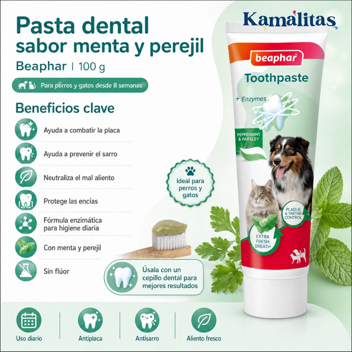 Infografía con los beneficios clave de la pasta dental Beaphar menta y perejil destacando su fórmula sin flúor y protección de encías.