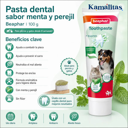 Infografía con los beneficios clave de la pasta dental Beaphar menta y perejil destacando su fórmula sin flúor y protección de encías.
