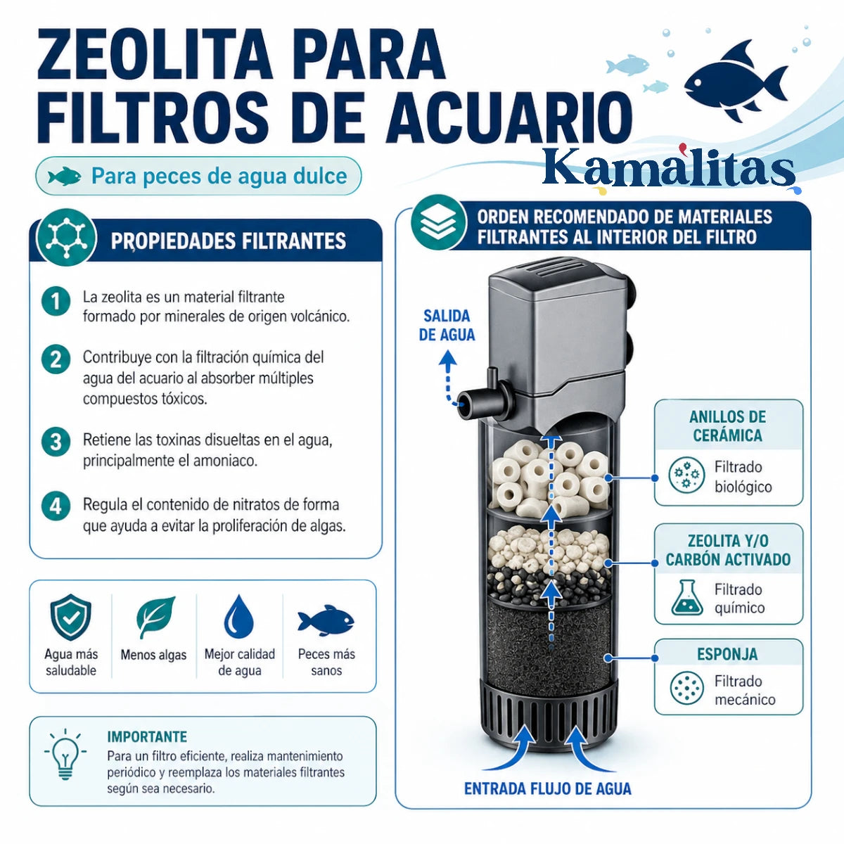 Infografía informativa sobre la zeolita para filtros de acuario de agua dulce, detallando sus 4 propiedades filtrantes y mostrando el orden recomendado de materiales dentro del filtro: anillos de cerámica, zeolita y esponja, en Kamalitas.