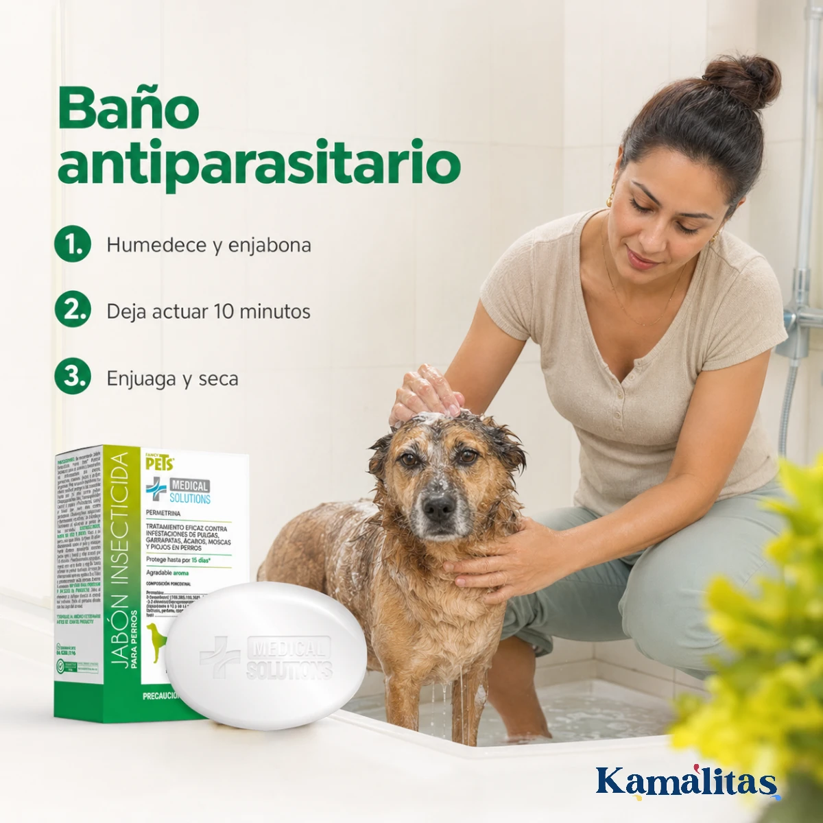 Tutora bañando a un perro con jabón insecticida y pasos para aplicar, dejar actuar, enjuagar y secar.
