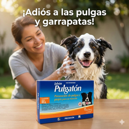 Un perro feliz siendo bañado con abundante espuma en el jardín de una casa por su dueño, con la caja de Jabón Pulgatón de Biochem en primer plano.