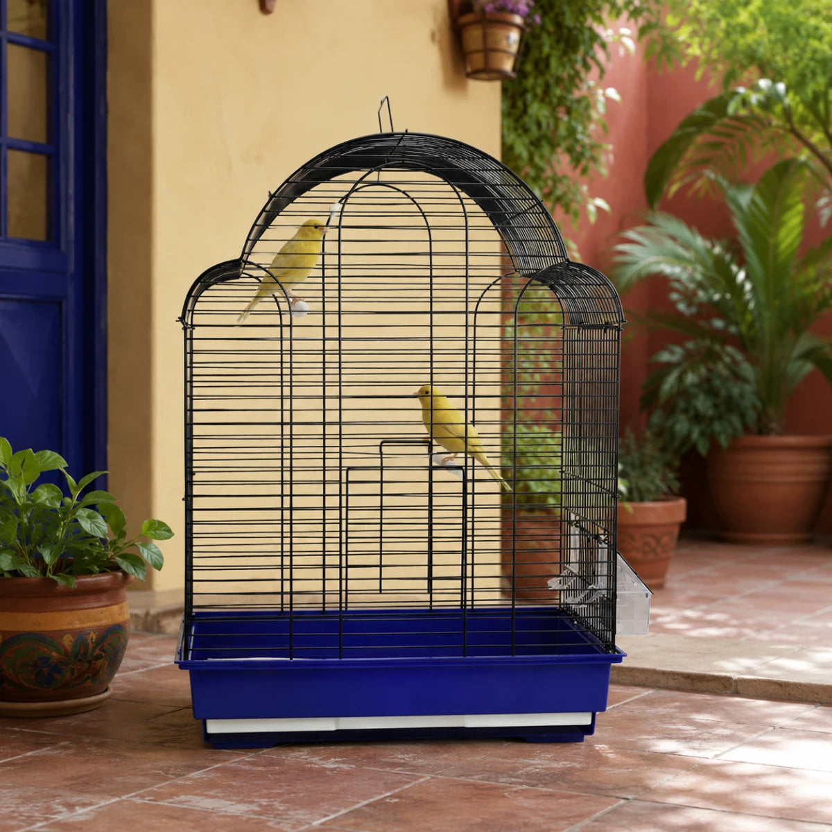 Jaula Ginebra Arca Redkite en un patio de casa mexicana con dos canarios amarillos dentro, base azul, estructura metálica libre de plomo
