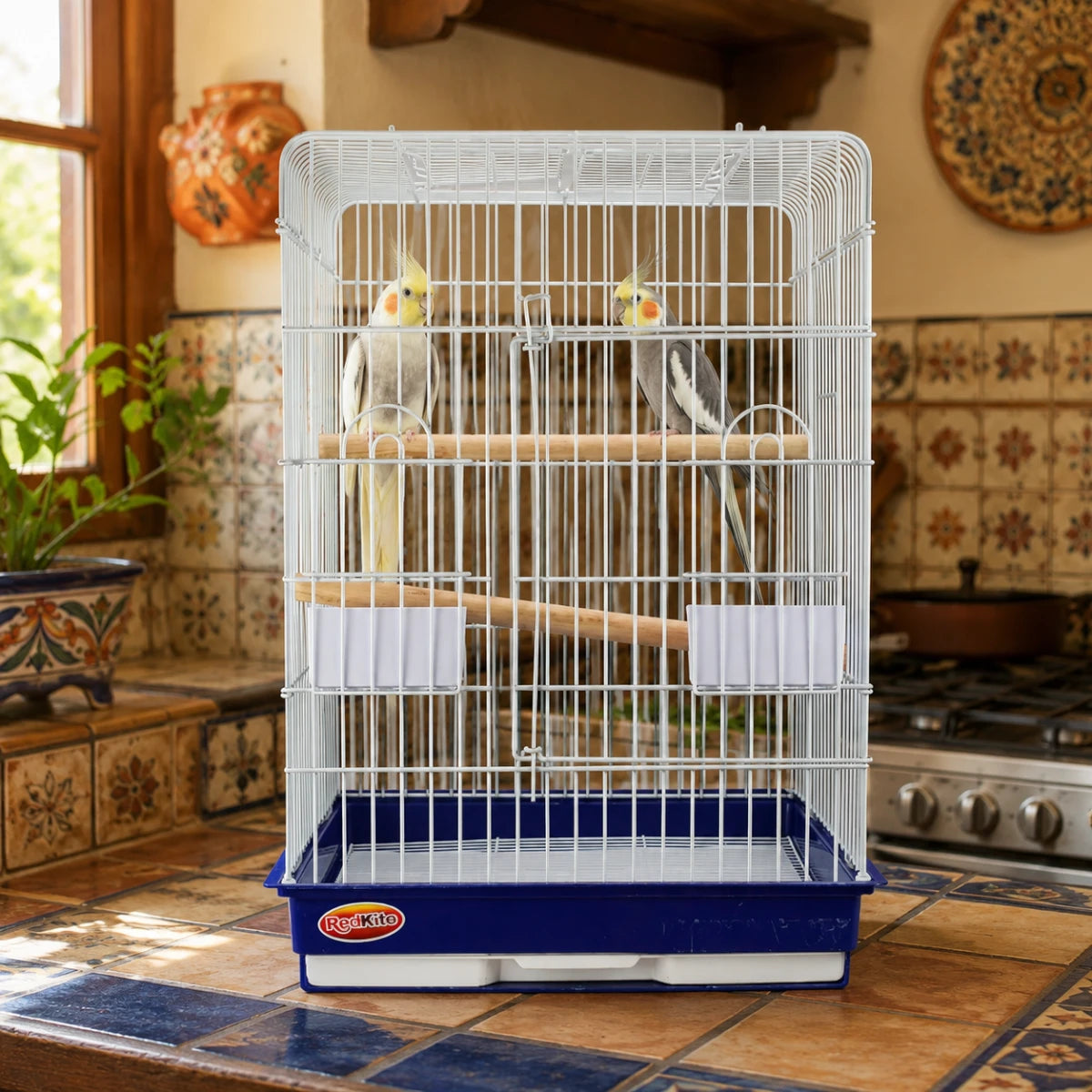 Jaula Macao Redkite dentro de una cocina tradicional mexicana con dos ninfas en su interior, base azul, rejilla blanca, perchas de madera y comederos incluidos.
