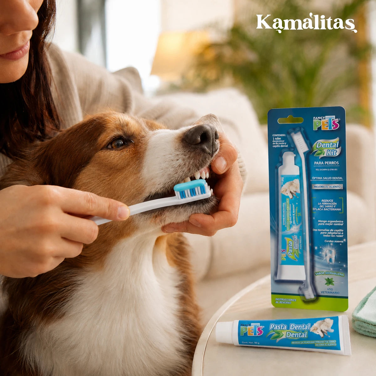 Persona cepillando los dientes de un perro con el Kit Dental para Perro Fancy Pets de 90 g, ideal para crear una rutina diaria de higiene bucal en casa.
