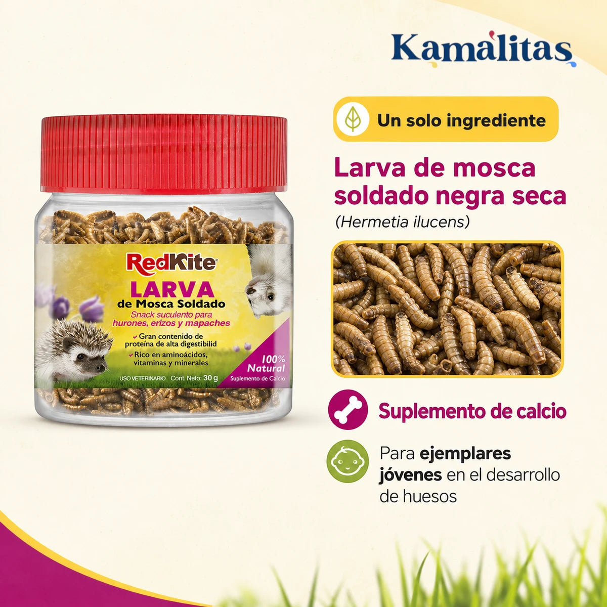 Larva de mosca soldado negra seca Hermetia ilucens RedKite como suplemento de calcio