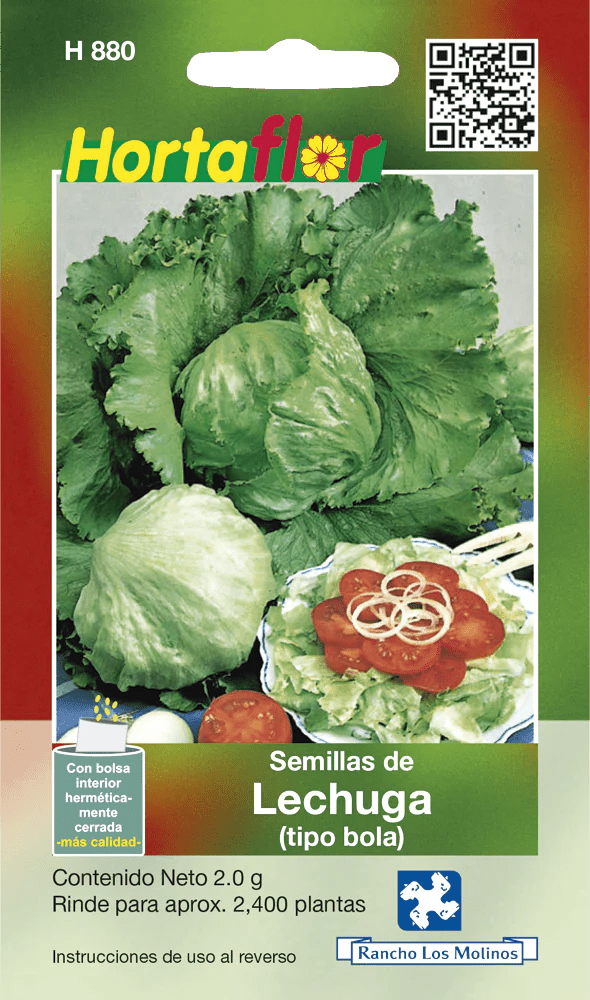 Semillas de Lechuga (tipo bola)