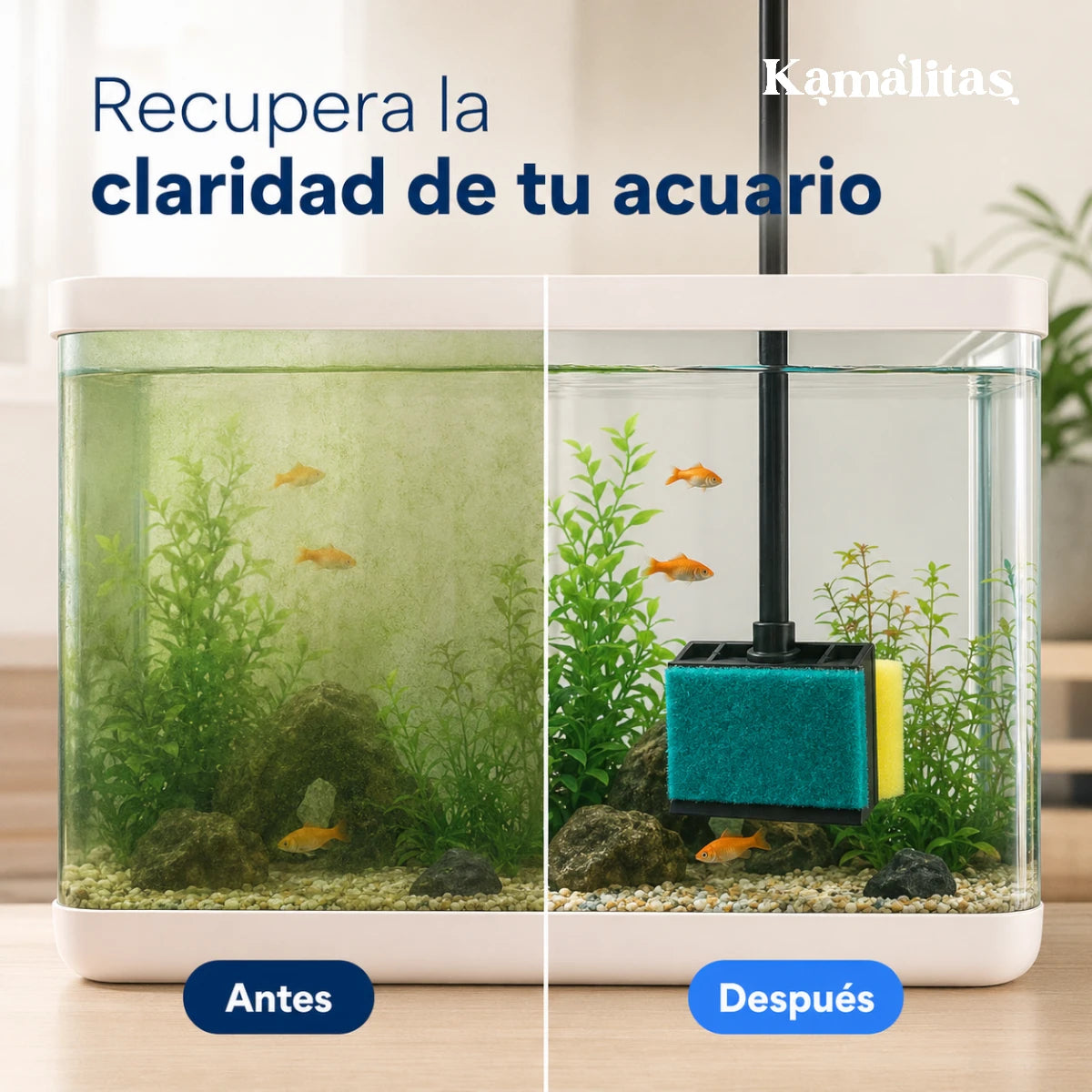 Comparación antes y después de una pecera al usar el limpiador de algas con mango largo en el vidrio del acuario.