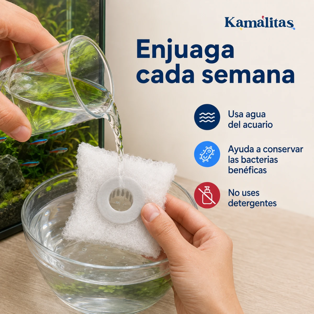 Enjuague semanal del repuesto AquaJet 25 con agua del acuario para ayudar a conservar las bacterias benéficas