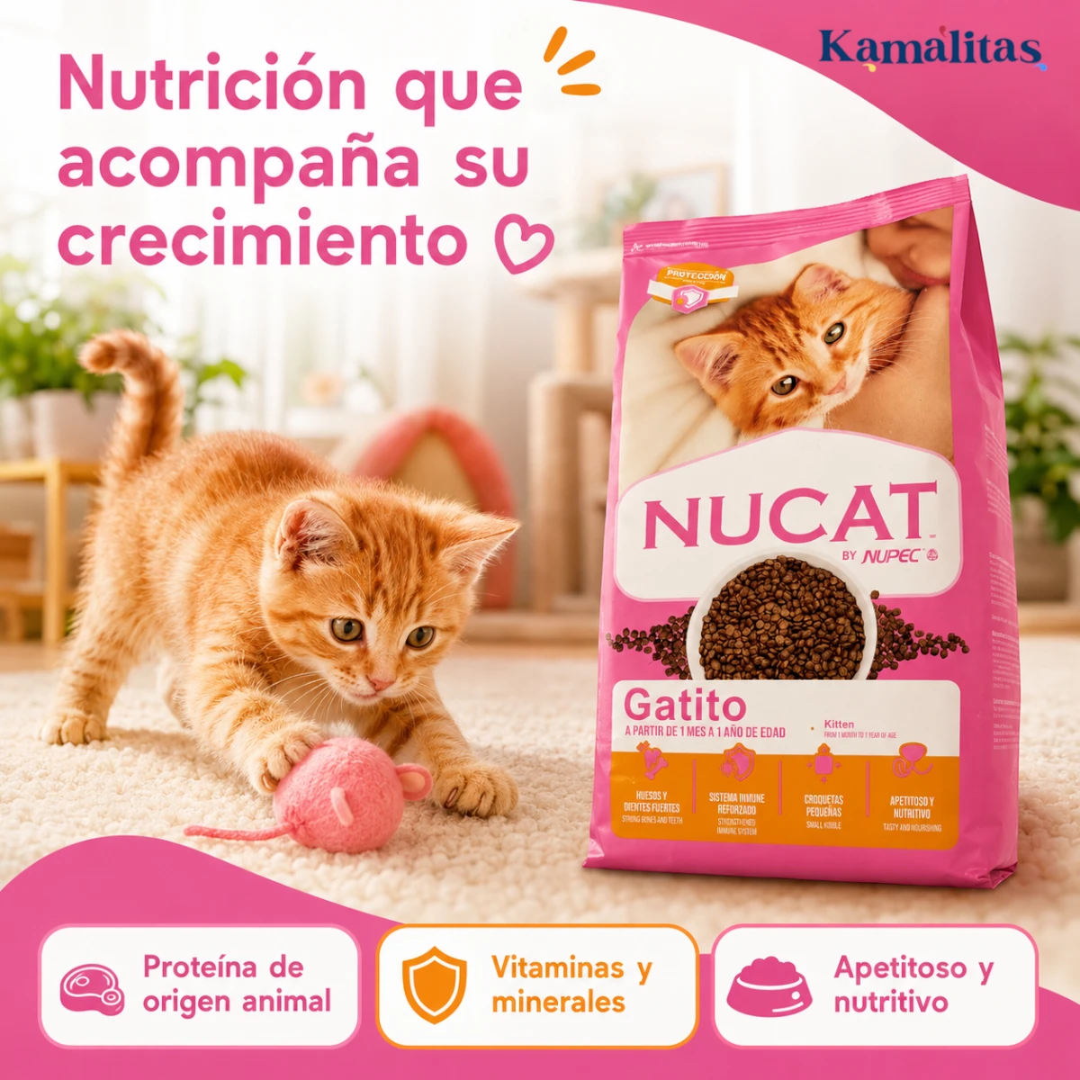 Alimento Nucat con proteínas de origen animal, vitaminas y minerales para acompañar el crecimiento del gatito.