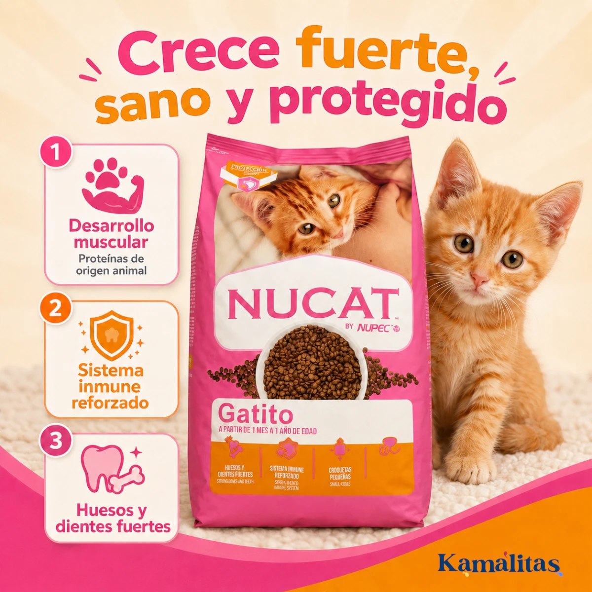 Beneficios del alimento Nucat para gatitos: desarrollo muscular, sistema inmune reforzado, huesos y dientes fuertes.