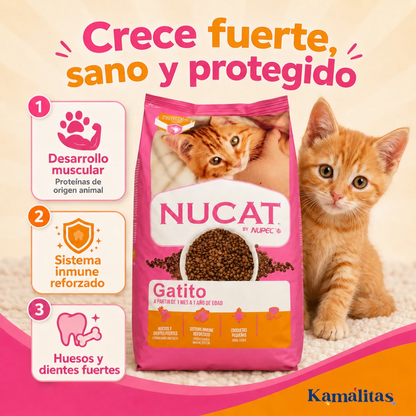 Beneficios del alimento Nucat para gatitos: desarrollo muscular, sistema inmune reforzado, huesos y dientes fuertes.