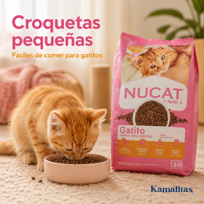 Gatito comiendo croquetas pequeñas de alimento Nucat, diseñadas para facilitar la alimentación durante su primer año.