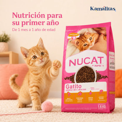Gatito junto a alimento Nucat, nutrición recomendada desde un mes hasta un año de edad.