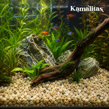 Diseño de paisajismo en acuario con plantas vivas, troncos y fondo de grava natural de grano medio, en Kamalitas.