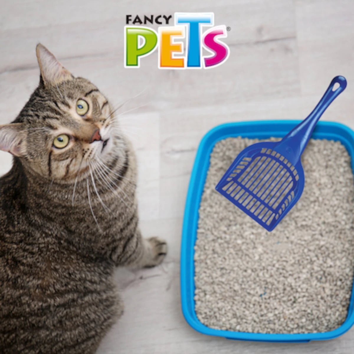 Pala para limpieza de arena de gato de 29 cm con orificio para colgar, ideal para un almacenamiento fácil y ordenado.