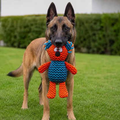 Perro de raza Pastor Belga Malinois sujetando con fuerza el juguete Maze Chummy Koala de Sharpaw , demostrando la resistencia y durabilidad del peluche, en Kamalitas.