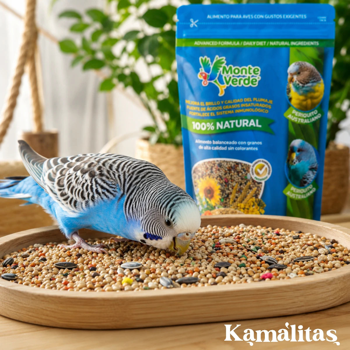 Periquito australiano azul forrajeando en un plato de madera con la mezcla de semillas naturales Sunny Monte Verde y el empaque al fondo.