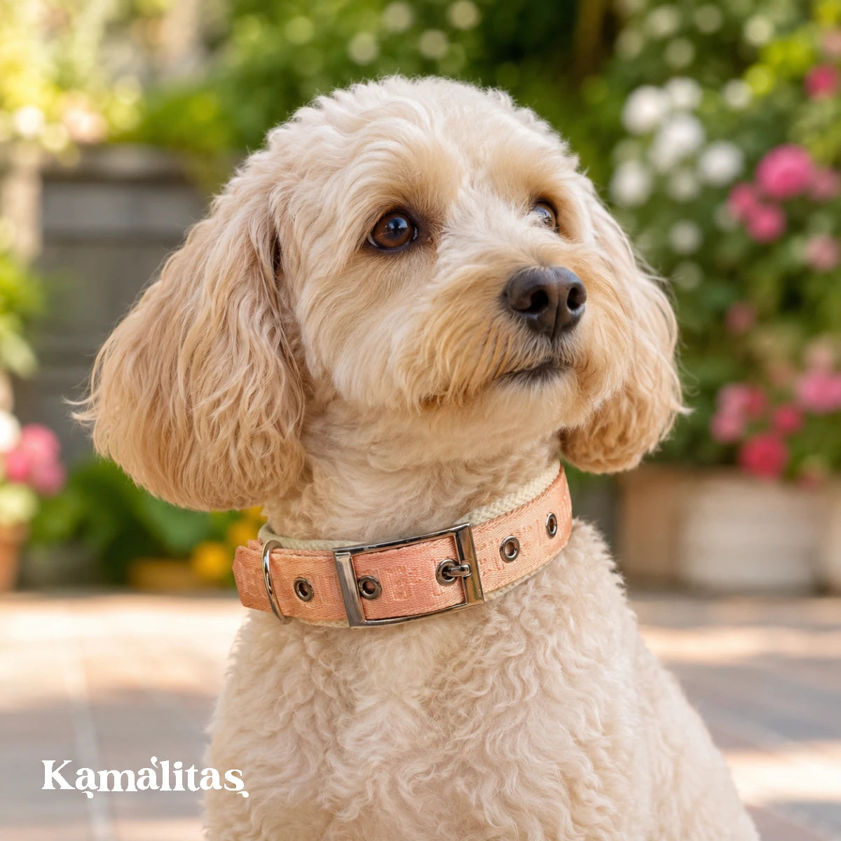 Perrita usando collar acolchado color pastel en jardín, con ajuste cómodo, nylon reforzado y argolla metálica para sujetar la correa.