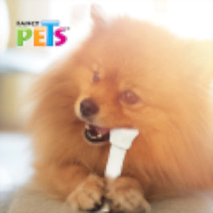 Perro de raza pequeña masticando una carnaza dental Fancy Pets, demostrando su uso como auxiliar en la higiene bucal y control de mal aliento.