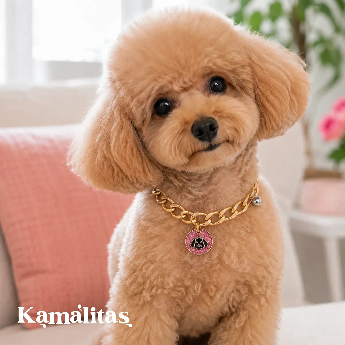 Perro pequeño usando collar de cadena cubana dorada para mascotas, ideal para perros y gatos de cuello de 22 a 30 cm.