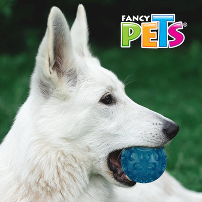 Perro Pastor Blanco sujetando en su boca la pelota azul de TPR, mostrando cómo se adapta el tamaño a su mandíbula.