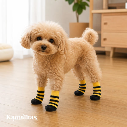 Perro pequeño usando calcetines antideslizantes para mascotas en interiores, ideales para mejorar el agarre en pisos lisos y brindar mayor comodidad