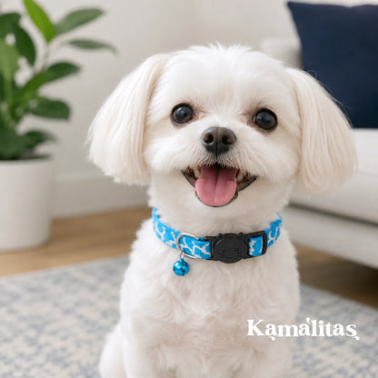 Perro pequeño usando collar animal print azul con cascabel y broche de seguridad, collar ajustable para mascotas pequeñas, disponible en Kamalitas.