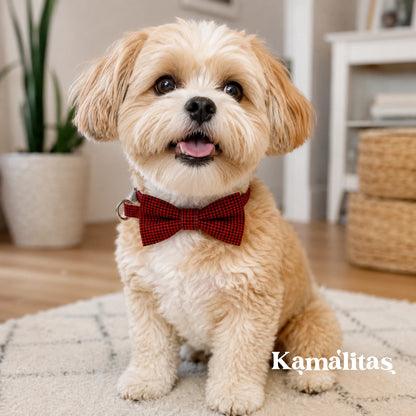 Perro pequeño usando collar con moño rojo y negro, accesorio ajustable tipo pajarita para mascotas pequeñas, disponible en Kamalitas.