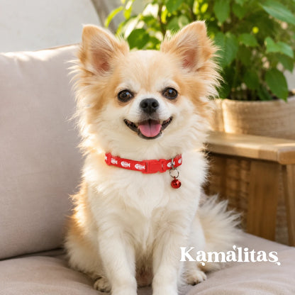 Perro pequeño usando collar rojo ajustable con diseño de pescados blancos, cascabel a juego y broche de liberación rápida, disponible en Kamalita