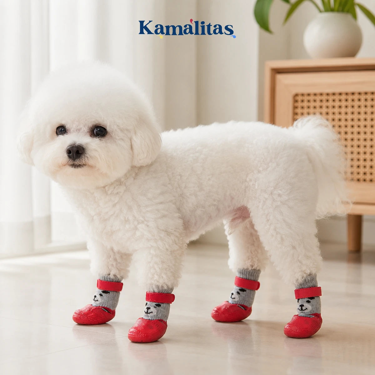 Perro pequeño usando zapatos de tela antideslizantes para mascotas con base de goma impermeable, ideales para proteger sus patas y evitar resbalones.