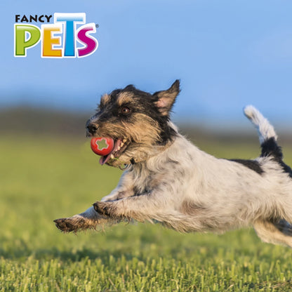 Perro Jack Russell Terrier saltando y capturando la pelota Extreme roja en el aire, resaltando su ligereza y rebote para perros ágiles.