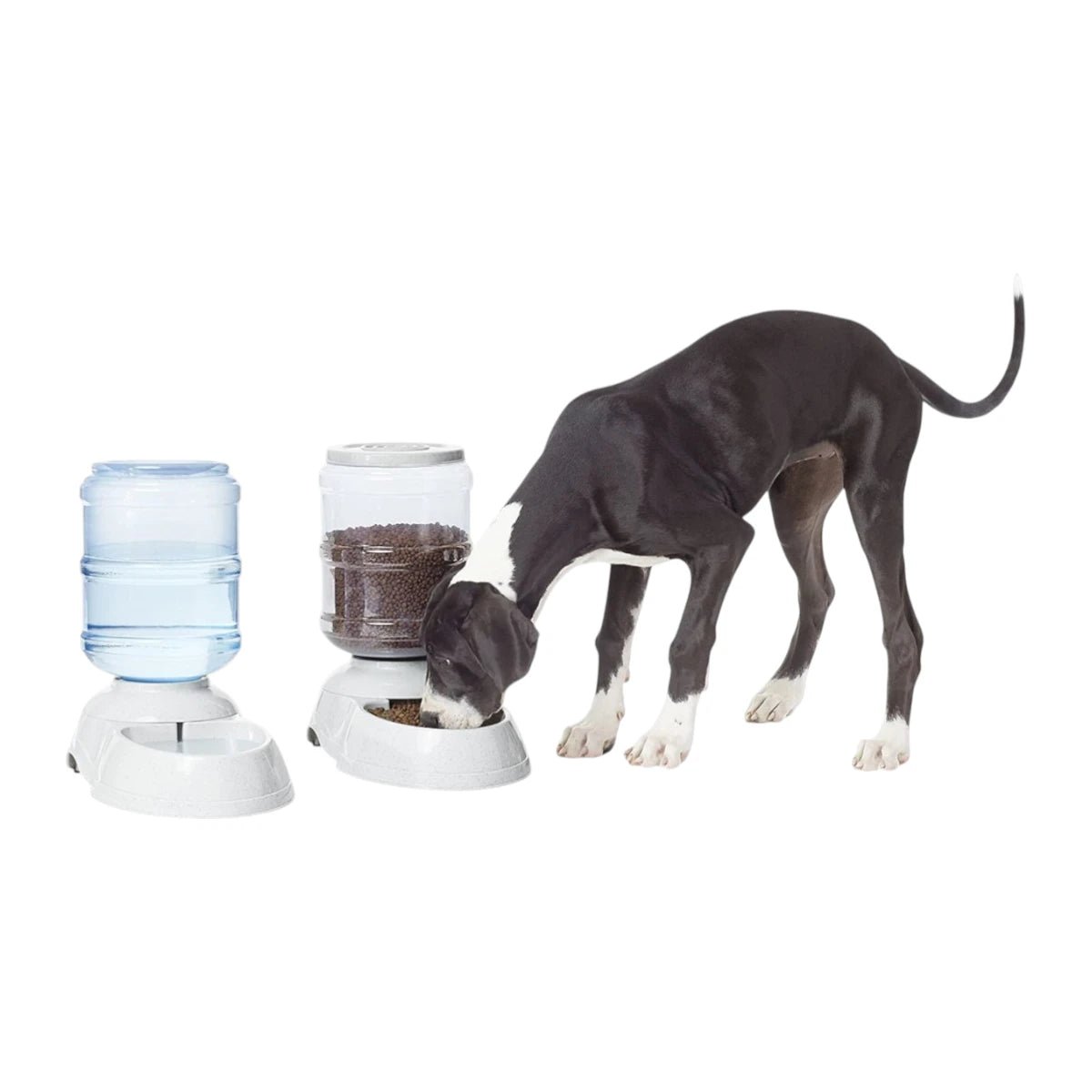 Perro de raza grande utilizando los dispensadores automático por gravedad  de sunny