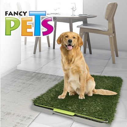 Perro golden sentado sobre tapete sanitario de pasto sintético tamaño grande.