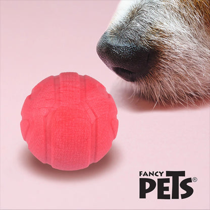 Perro oliendo pelota con aroma a fresa, juguete sensorial para perros fancy pets