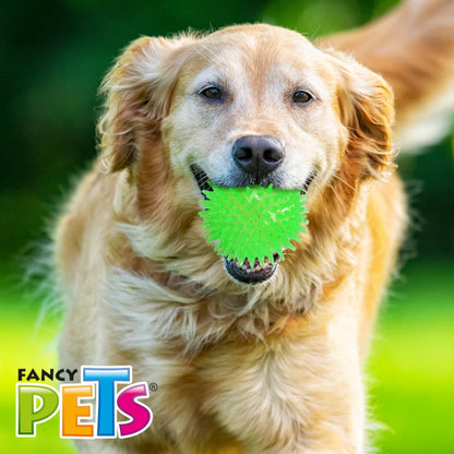 Perro Golden Retriever jugando con la pelota con glitter suave y con sonido