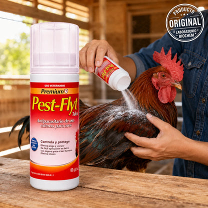 Aplicación de talco antiparasitario Pest-Flyt de Biochem en las plumas de un gallo en el corral, con el envase original de 60g en primer plano y sello de producto original.