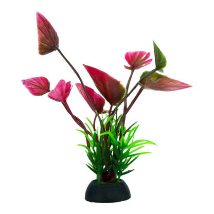 Planta decorativa para acuario con combinación de hojas verdes y anchas en tonos rojizos, aportando variedad de color al paisaje acuático.