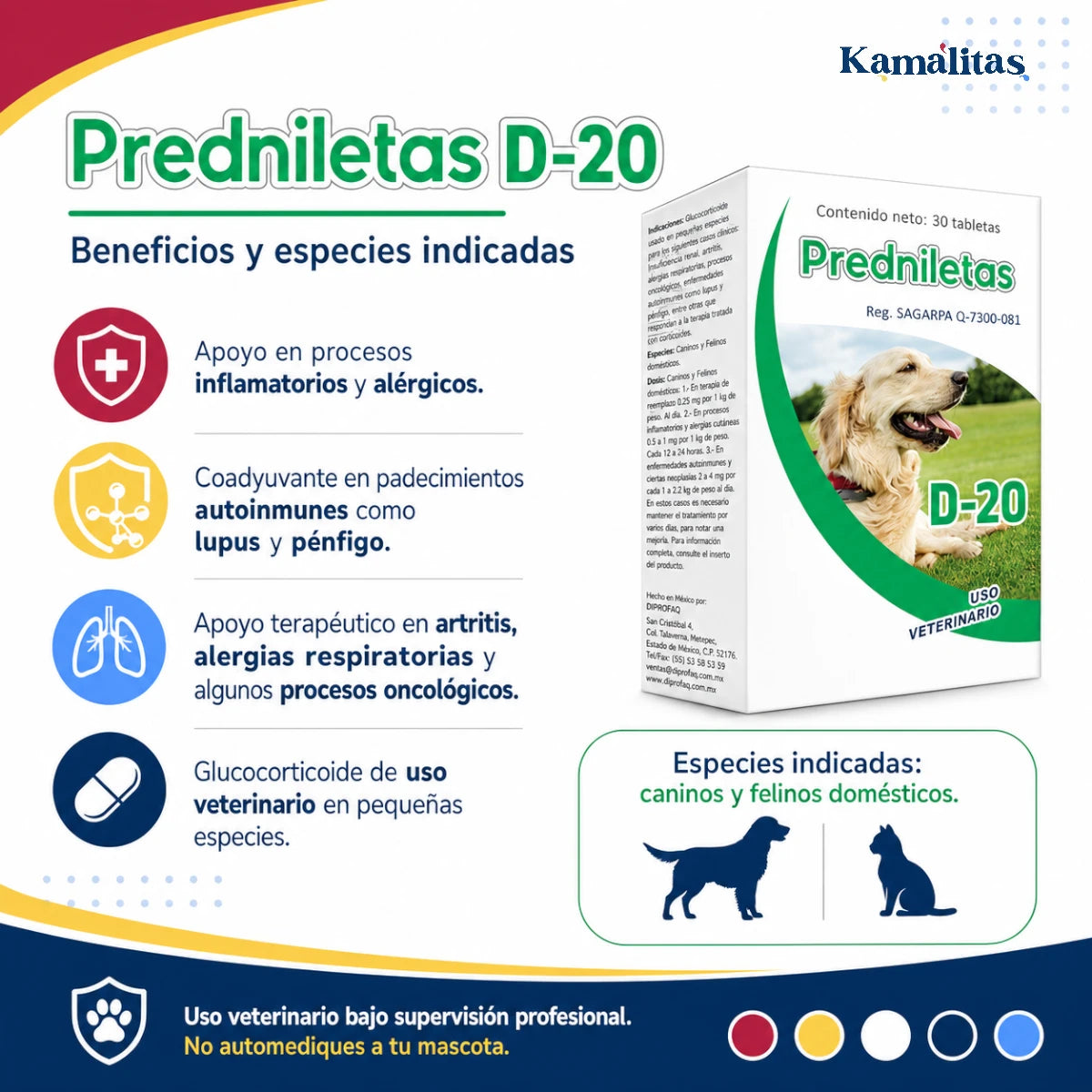 Infografía de Predniletas D-20 Diprofaq para caninos y felinos domésticos, glucocorticoide veterinario usado como apoyo en procesos inflamatorios, alérgicos, autoinmunes y respiratorios bajo indicación médica.