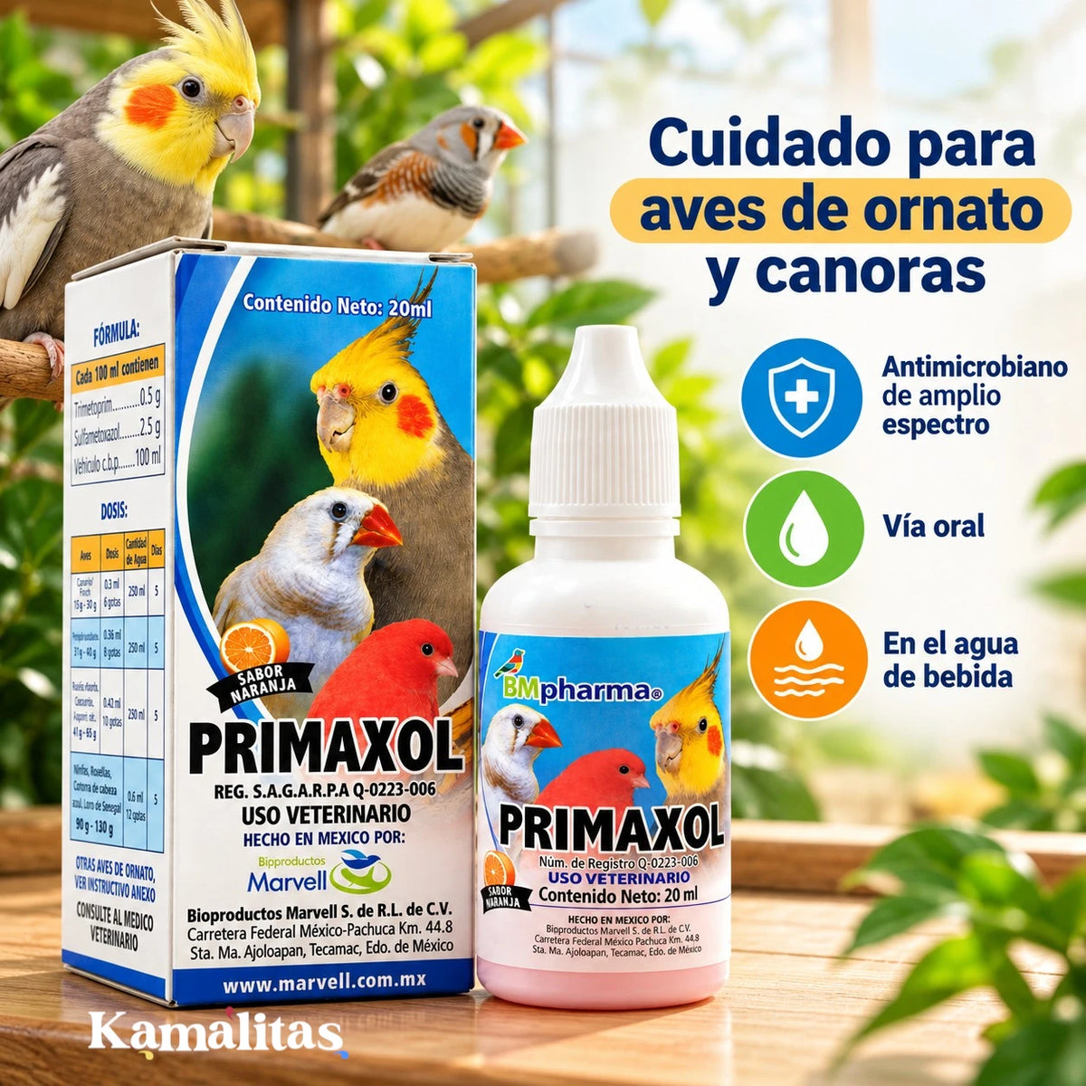 Primaxol antimicrobiano de ampli espectro que se administra vía oral