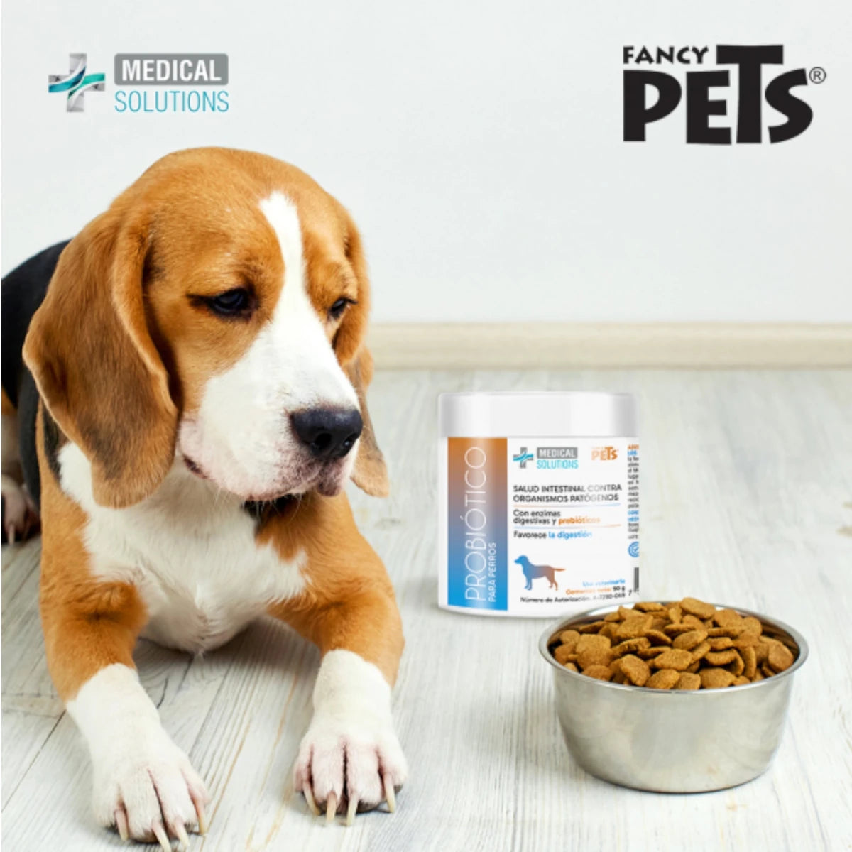 Beagle junto a su plato de croquetas y el probiótico Fancy Pets, suplemento para mejorar la digestión y fortalecer el sistema inmune