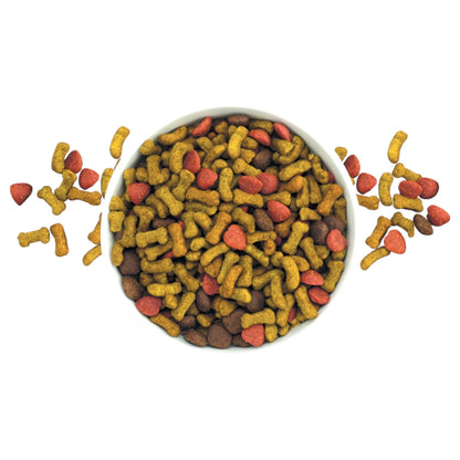 Acercamiento a las croquetas de Nucan  servidas en un plato blanco, mostrando su forma  y textura adecuada para perros adultos.