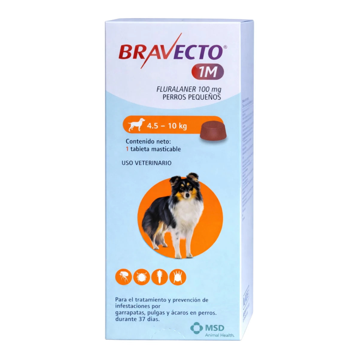 Presentación de Bravecto 1M para perros de 4.5 a 10 kg, tableta masticable saborizada para el control de ectoparásitos.