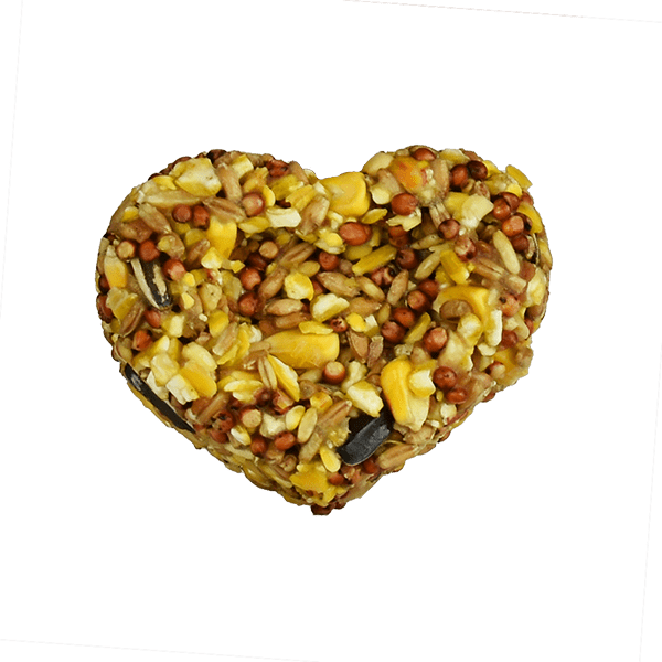 Premios para hámster