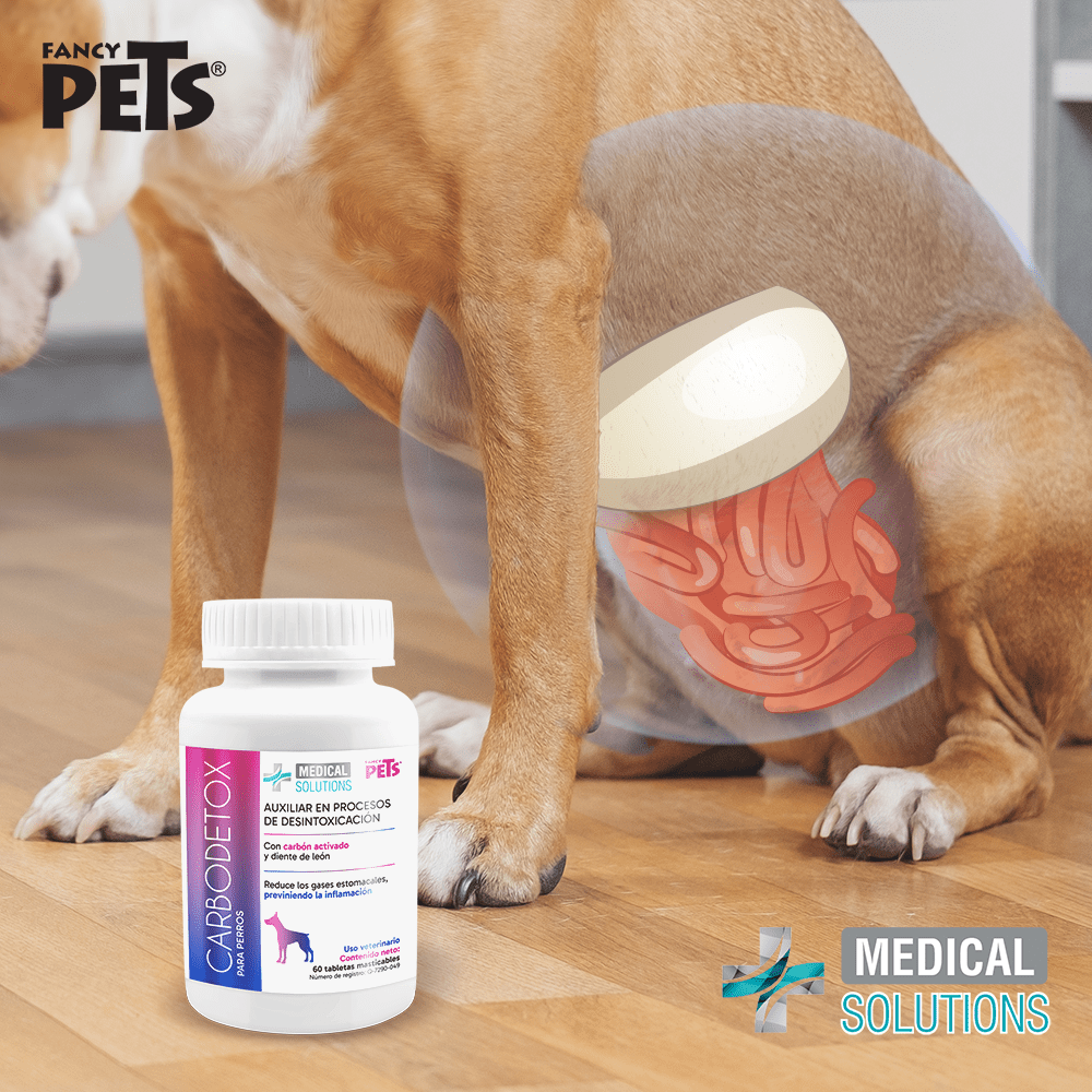 Carbodetox tabletas masticables