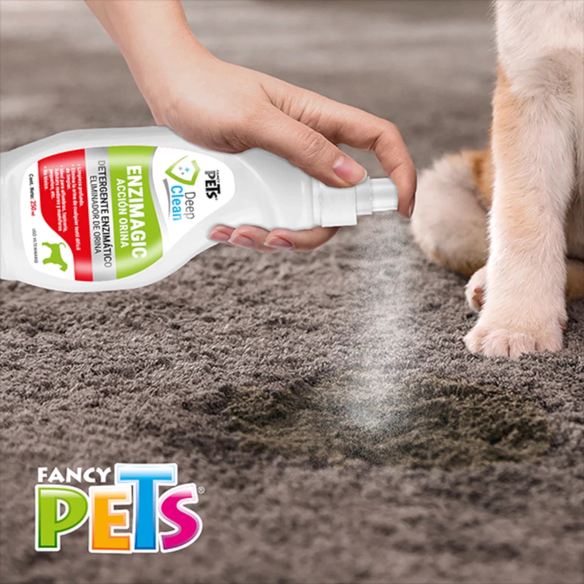 Persona aplicando Enzimagic Eliminador de Orina para perros sobre una alfombra manchada, junto a un cachorro