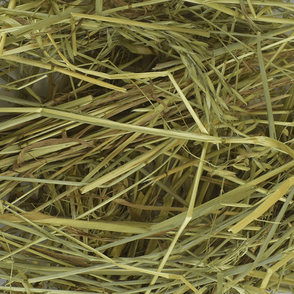 Heno de avena allpet