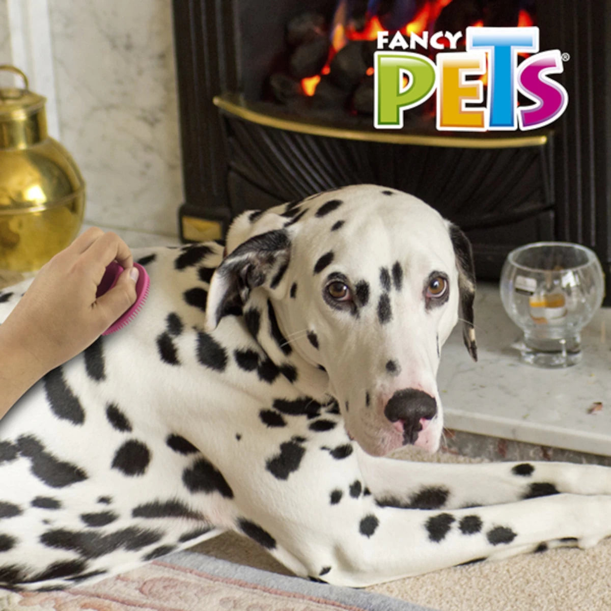 Persona utilizando la goma limpiadora Fancy Pets para acicalar a un perro dalmata de pelo corto