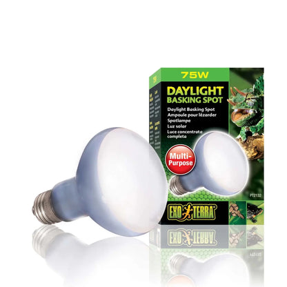 Lámpara de neodimio Exo Terra Daylight Basking Spot de 75W en su empaque, diseñada para proporcionar calor y luz de amplio espectro en terrarios.