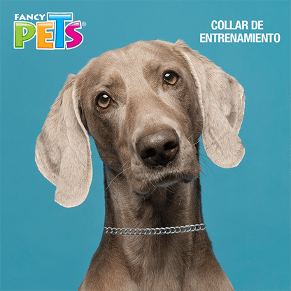 Collar de entrenamiento 4mm