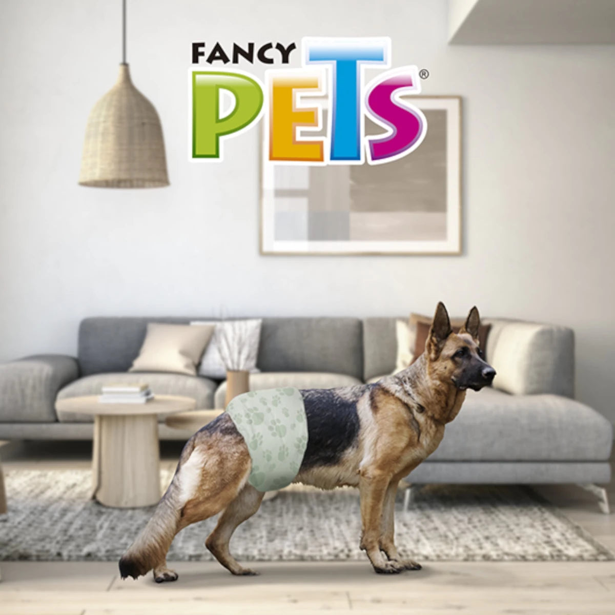 Perro macho usando pañales dry pet Talla G